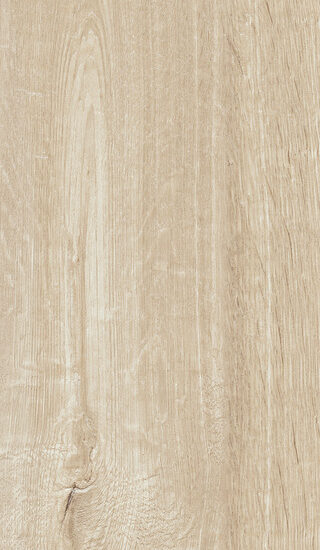 ragno woodtale r4tm.jpg