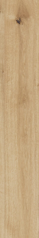 ragno woodtale r4tn.jpg