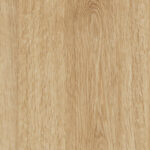 ragno woodtale r4tn.jpg