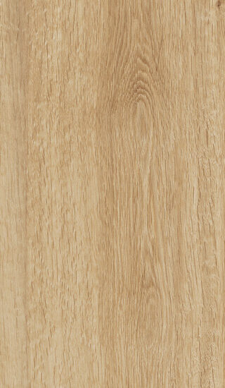 ragno woodtale r4tn.jpg