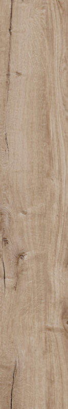 ragno woodtale r4tp.jpg