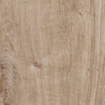 ragno woodtale r4tp.jpg