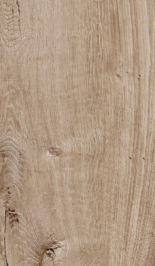 ragno woodtale r4tp.jpg