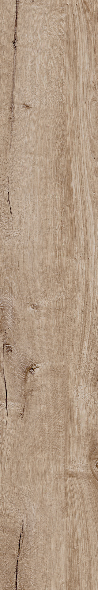 ragno woodtale r4tp.jpg