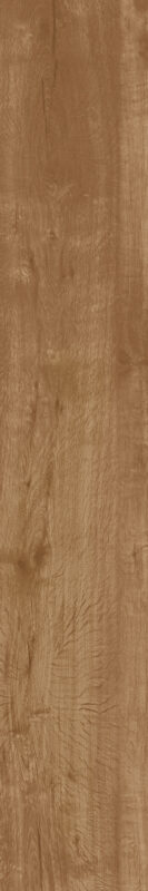 ragno woodtale r4tq.jpg