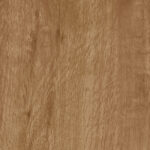 ragno woodtale r4tq.jpg