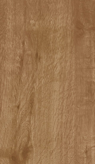 ragno woodtale r4tq.jpg