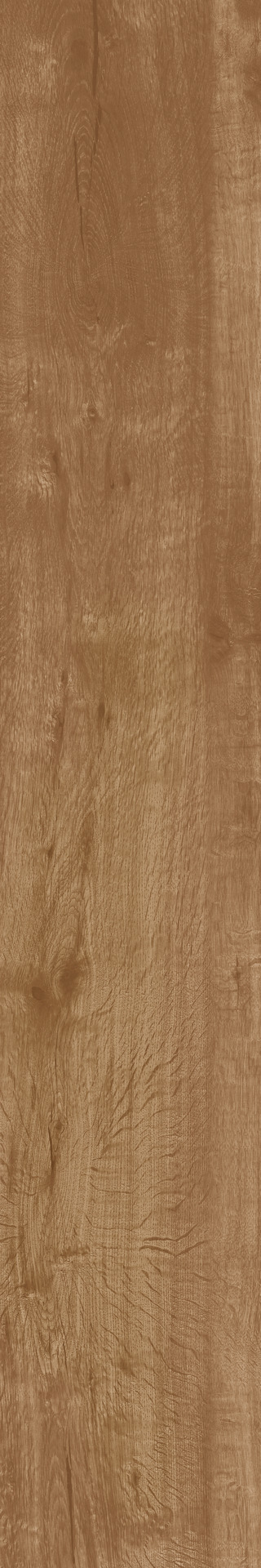 ragno woodtale r4tq.jpg