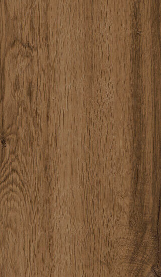 ragno woodtale r4tr.jpg