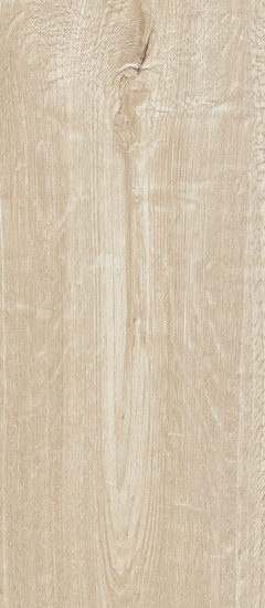 ragno woodtale r4ts.jpg