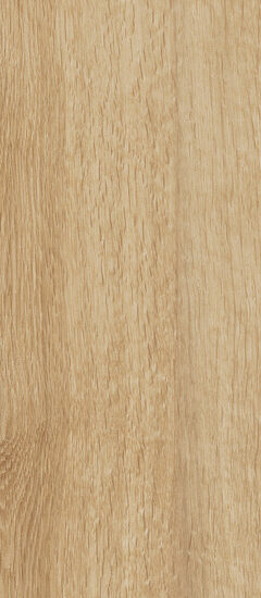 ragno woodtale r4tt.jpg