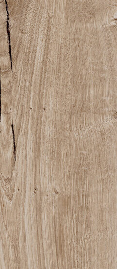 ragno woodtale r4tu.jpg