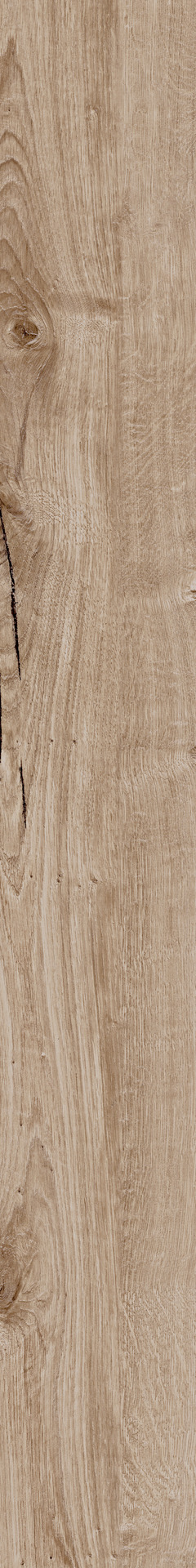 ragno woodtale r4tu.jpg