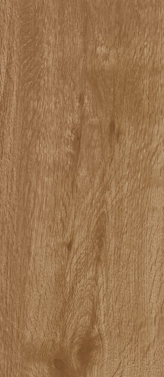 ragno woodtale r4tv.jpg