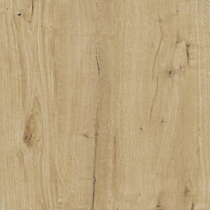 ragno woodtale xt20 r4xg.jpg