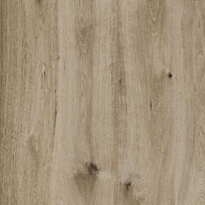 ragno woodtale xt20 r4xh.jpg