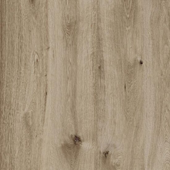 ragno woodtale xt20 r4xh.jpg