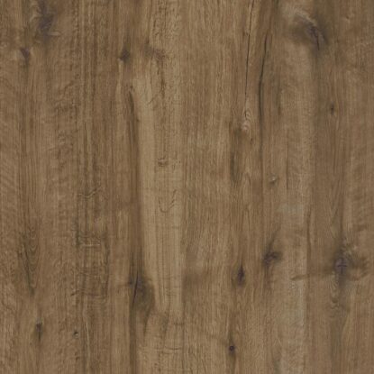 ragno woodtale xt20 r4xj.jpg