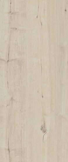 ragno woodtale xt20 r51v.jpg
