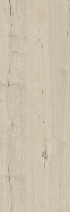 ragno woodtale xt20 r51v.jpg