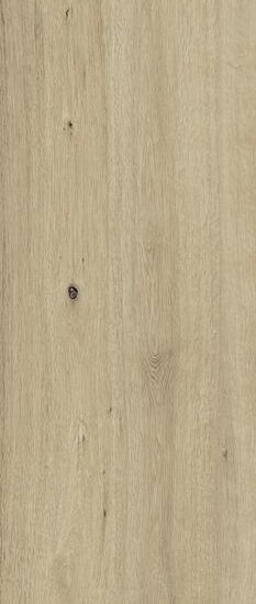 ragno woodtale xt20 r51w.jpg