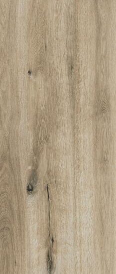 ragno woodtale xt20 r51x.jpg