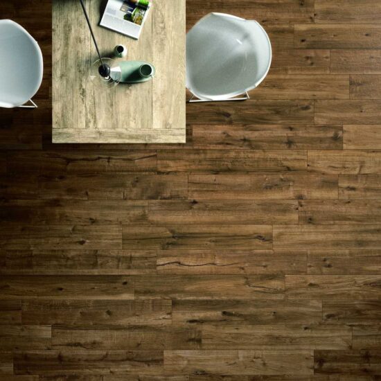 ragno woodtale 013.jpg